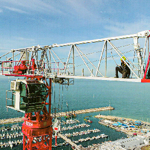 Grúa automontable Sáez TLS65B 10T — Chile